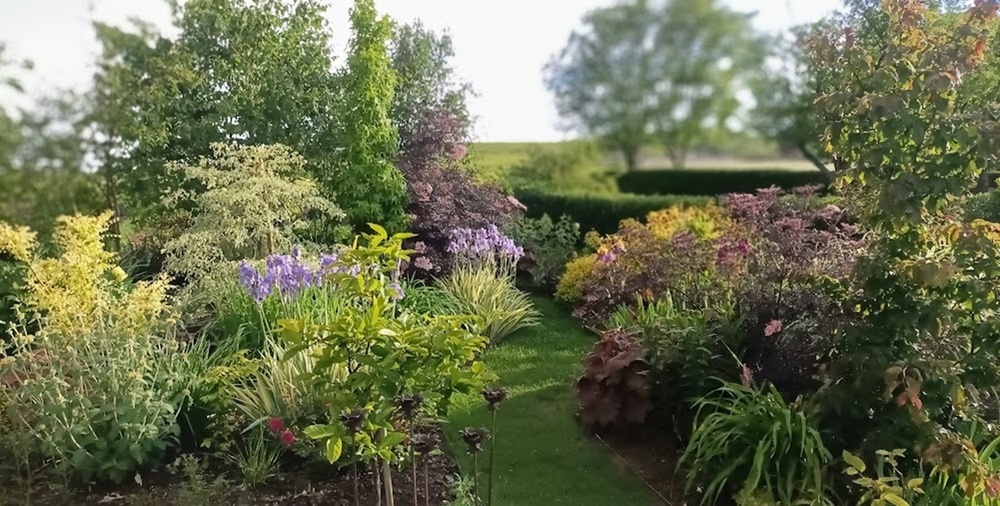 LE JARDIN DES GRANDES VIGNES