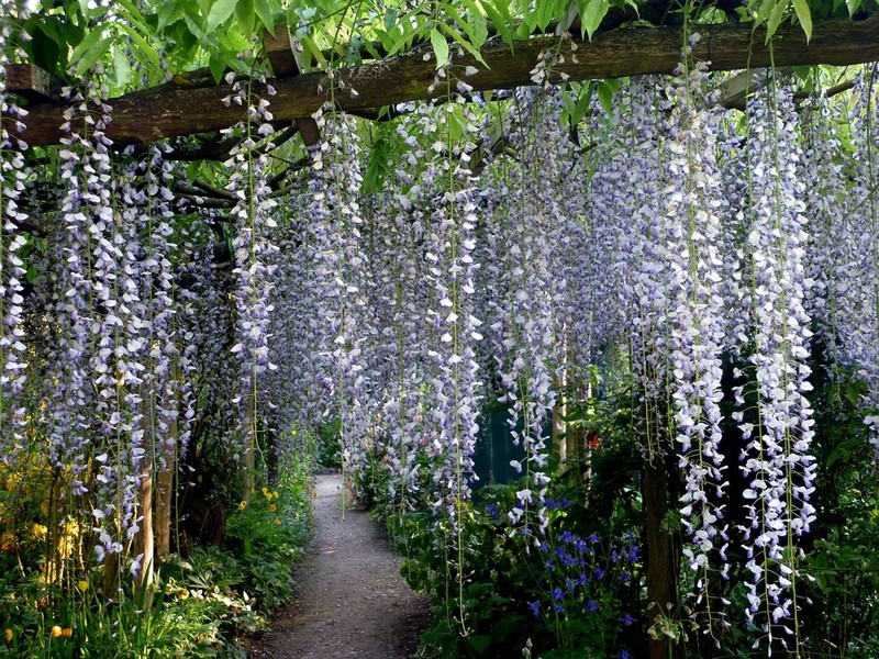 JARDIN DE LA PETITE ROCHELLE