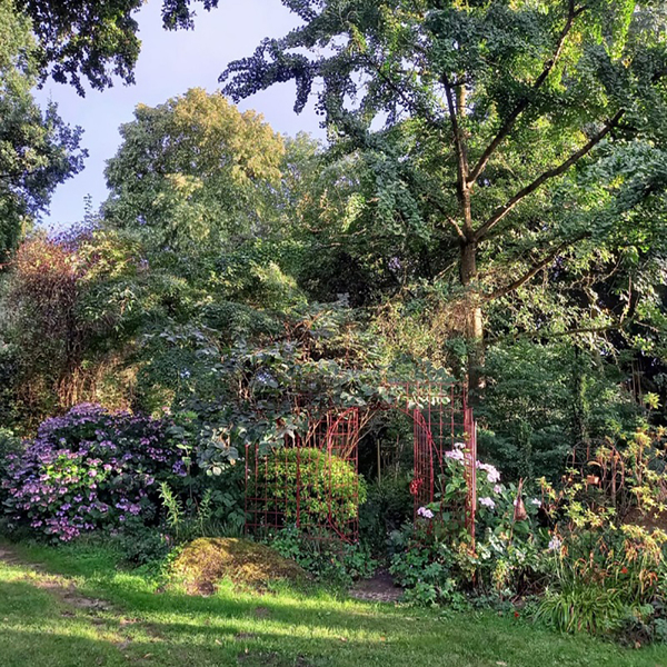 LE JARDIN POLYPODES