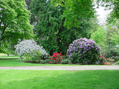 Parcs et jardins dans l'Allier : parc botanique d'Allier - Allier