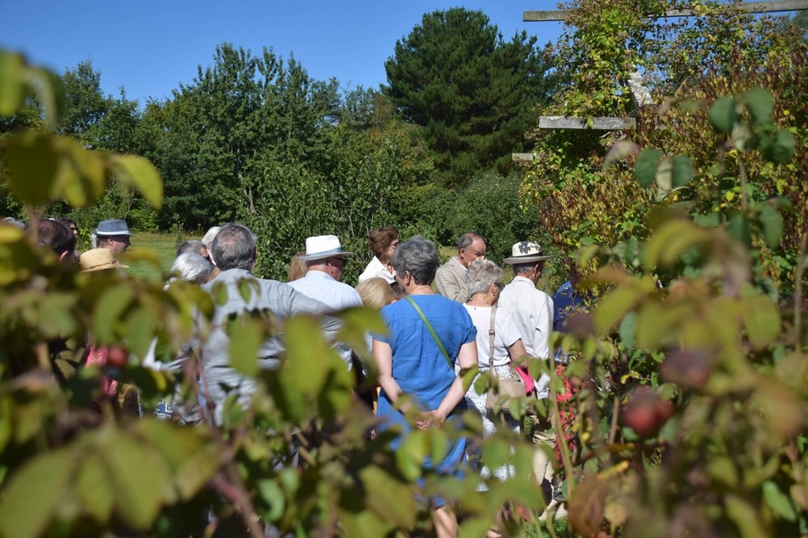 LES JARDINS DE BROCÉLIANDE