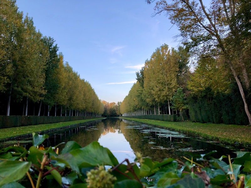 PARC CHÂTEAU DE COURANCES