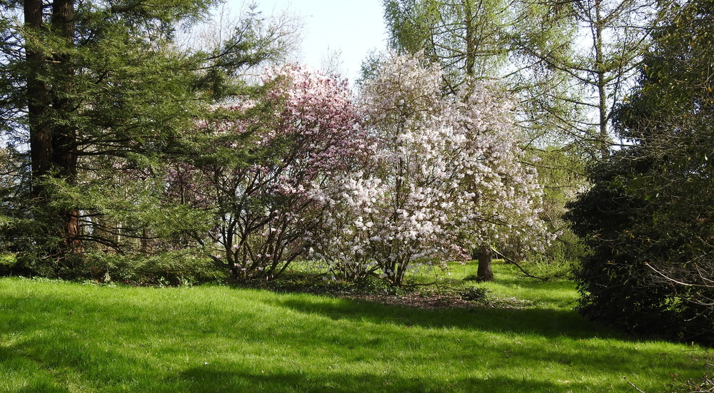 La prairie enchantée