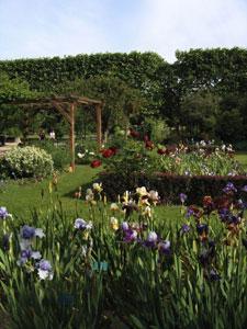 Accueil - Au Jardin Des Plantes