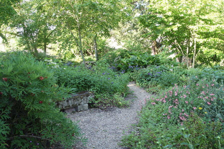 Jardin sauvage du clos Saint-Lubin