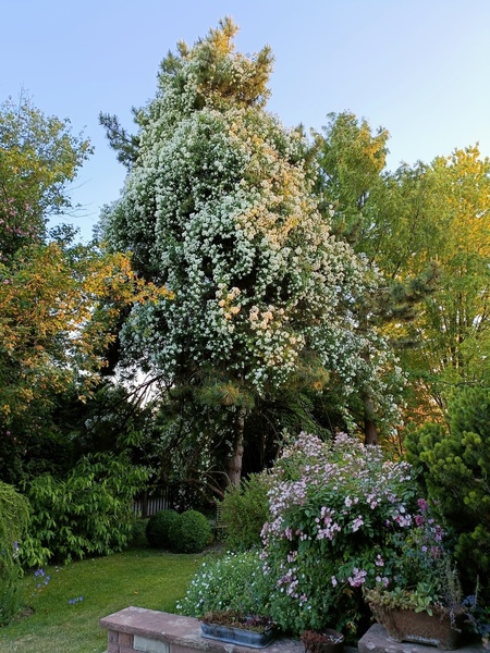 LE JARDIN DE MARGUERITE