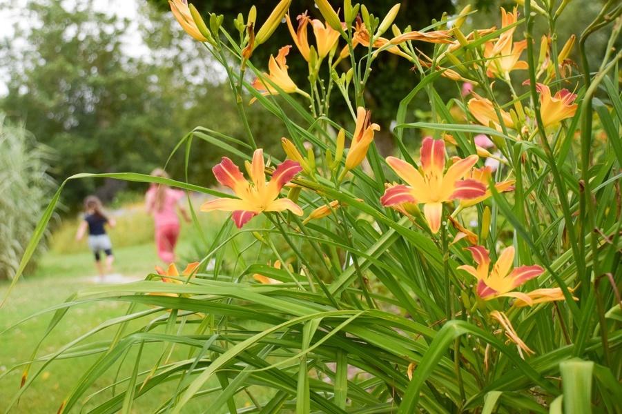 LES JARDINS DE BROCÉLIANDE