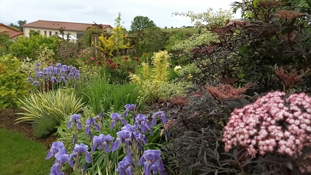 LE JARDIN DES GRANDES VIGNES