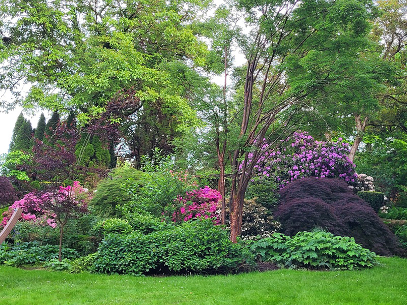 LE JARDIN DES SONGES