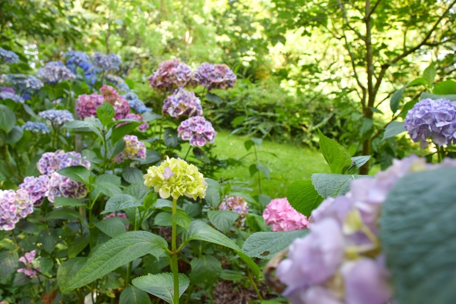 LES JARDINS DE BROCÉLIANDE