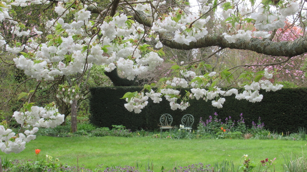 JARDIN DE LA PETITE ROCHELLE