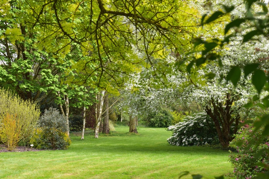 LES JARDINS DE BROCÉLIANDE