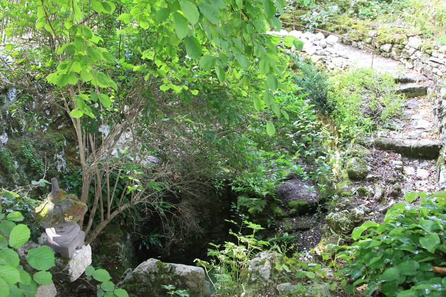 Jardin sauvage du clos Saint-Lubin