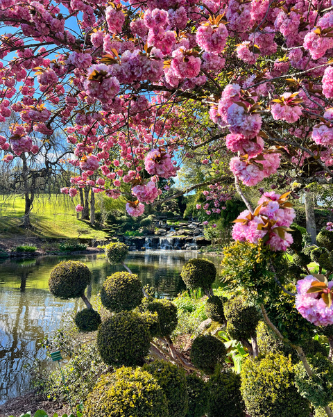 Parc floral d'Apremont