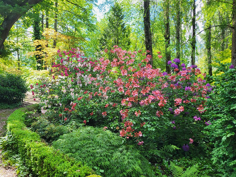 LE JARDIN DES SONGES