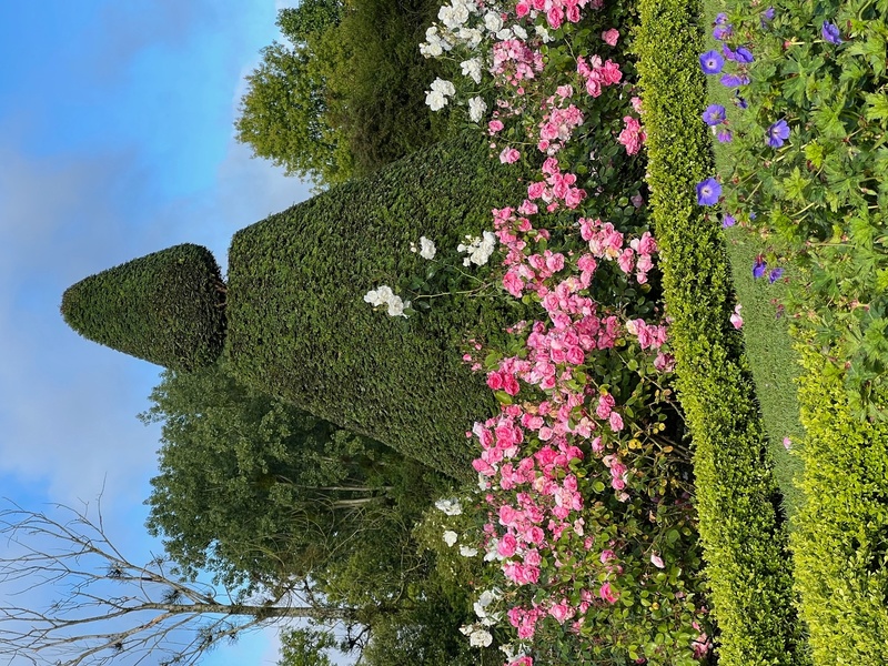 Jardins du château des Arcis