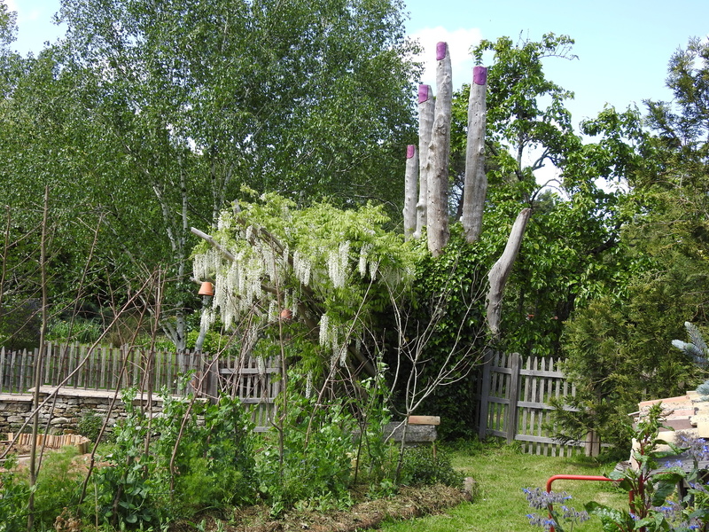 La prairie enchantée