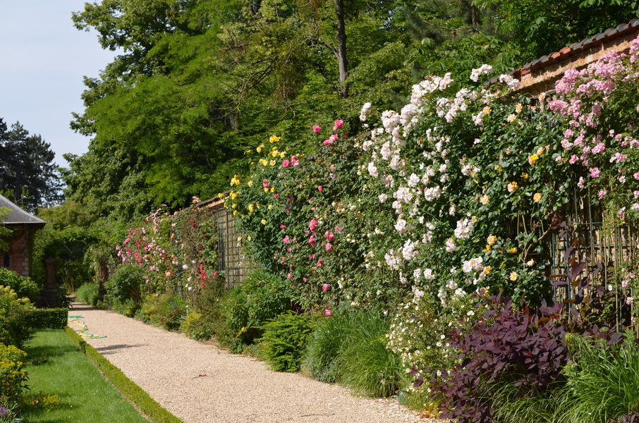 Parc de Bagatelle