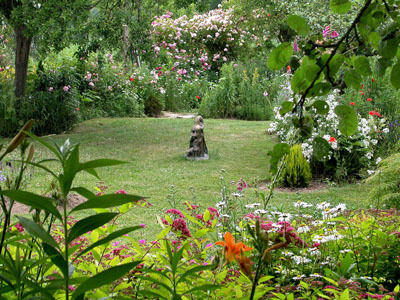 Orner vos murets en pierres de belles plantes - Les Jardins du Clos Joli
