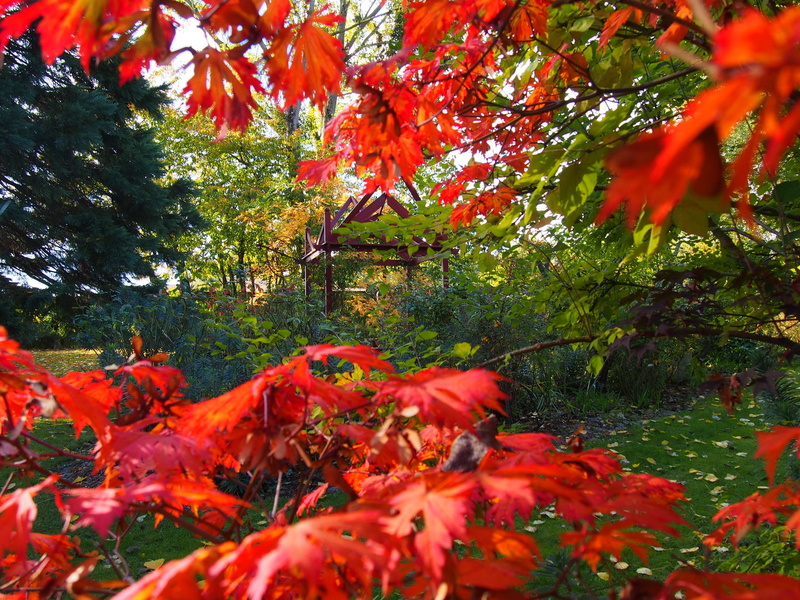 Jardin la Parmelie