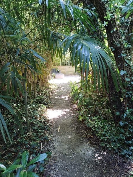 TROPICALAND La Jungle aux Dinosaures