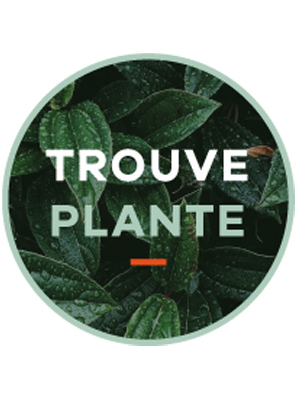 Trouve Plante