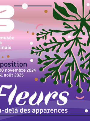 Fleurs au-delà des apparences