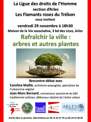 Rafraîchir la ville : arbres et autres plantes