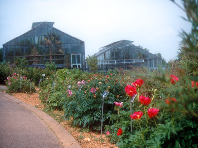 billets pour jardin botanique jeanmarie pelt