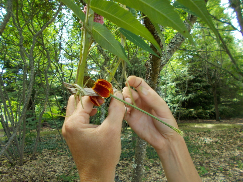 jardin pour la terre